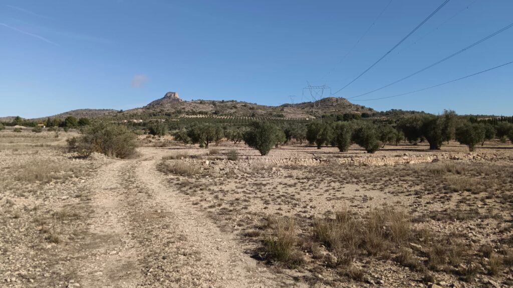Land w Salinas - oferta MLSC379603