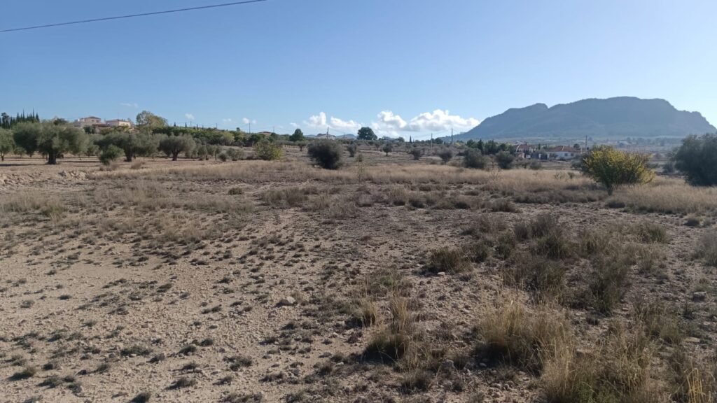 Land w Salinas - oferta MLSC379603