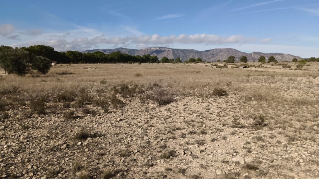 Land w Salinas - oferta MLSC379603