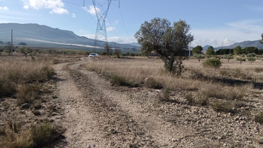 Land w Salinas - oferta MLSC379603