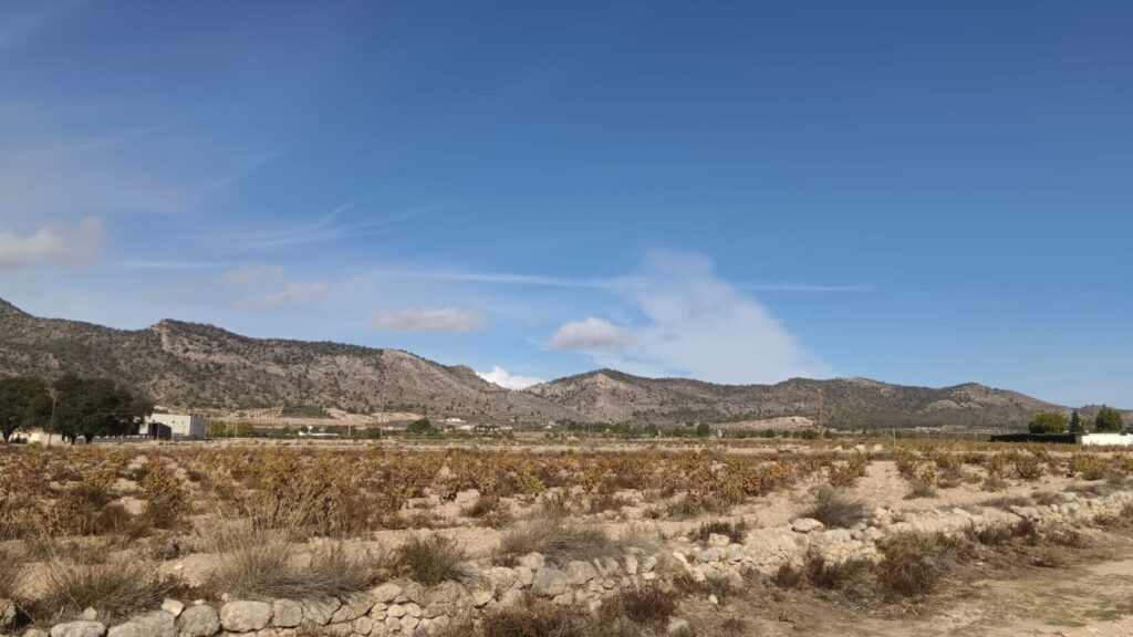 Land w Salinas - oferta MLSC4987357