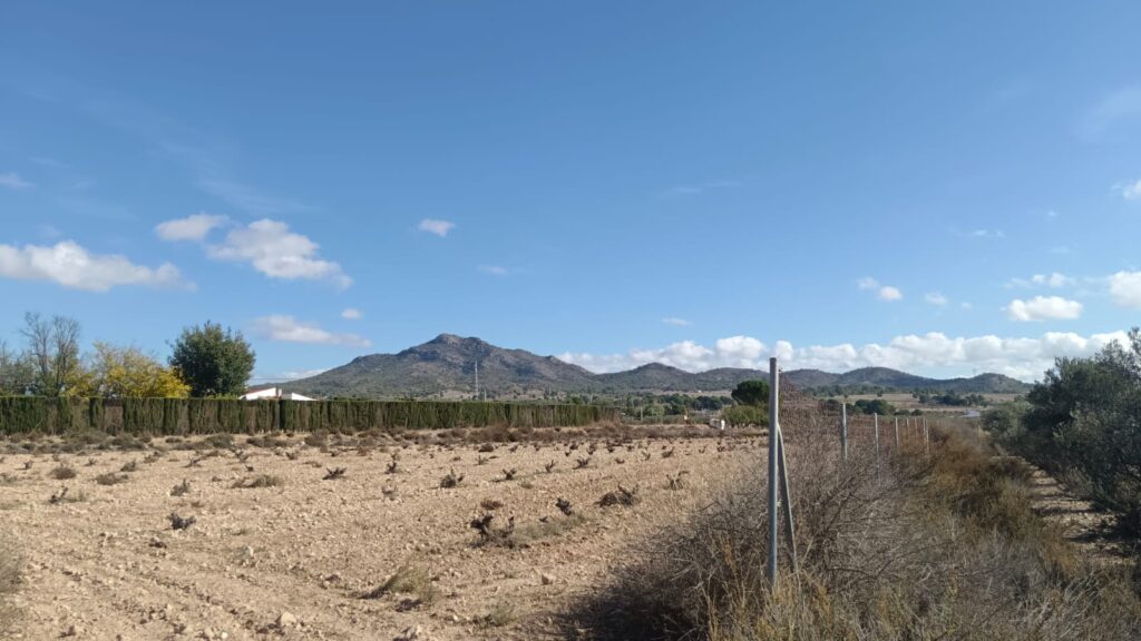 Land w Salinas - oferta MLSC4987357