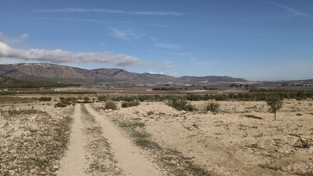 Land w Salinas - oferta MLSC5908935