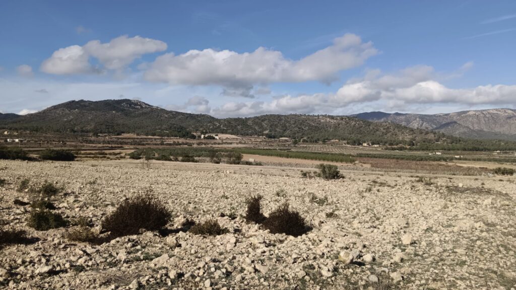 Land w Salinas - oferta MLSC5908935