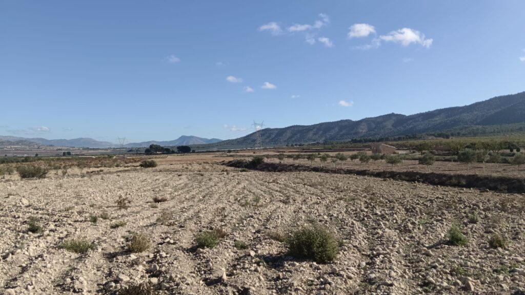 Land w Salinas - oferta MLSC5908935