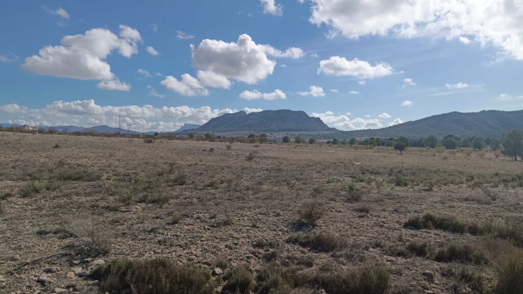 Land w Salinas - oferta MLSC8508101