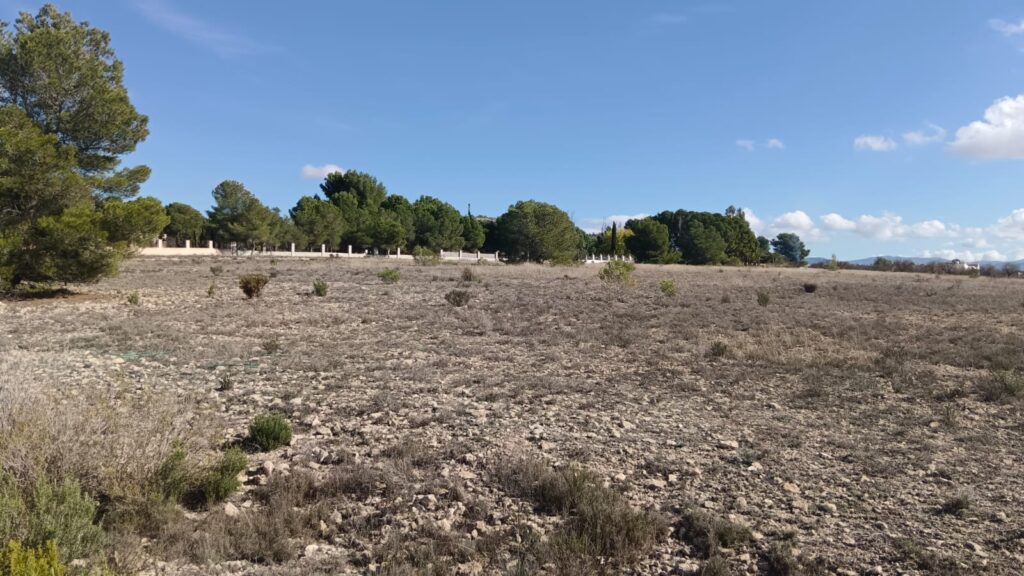 Land w Salinas - oferta MLSC8508101
