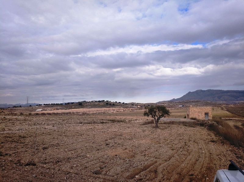 Land w Torre Del Rico - oferta MLSC4977444