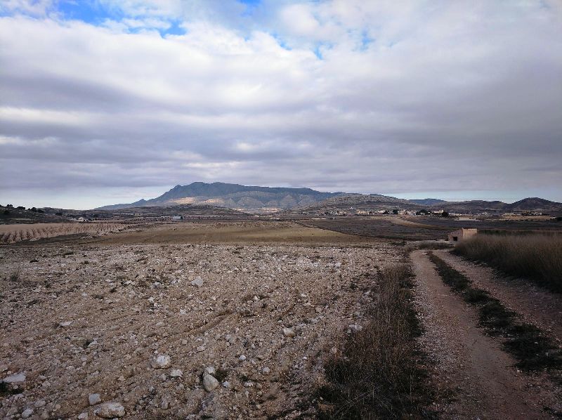 Land w Torre Del Rico - oferta MLSC4977444