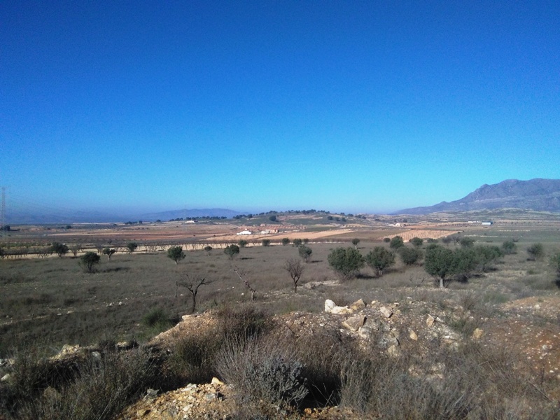 Land w Torre Del Rico - oferta MLSC4977444