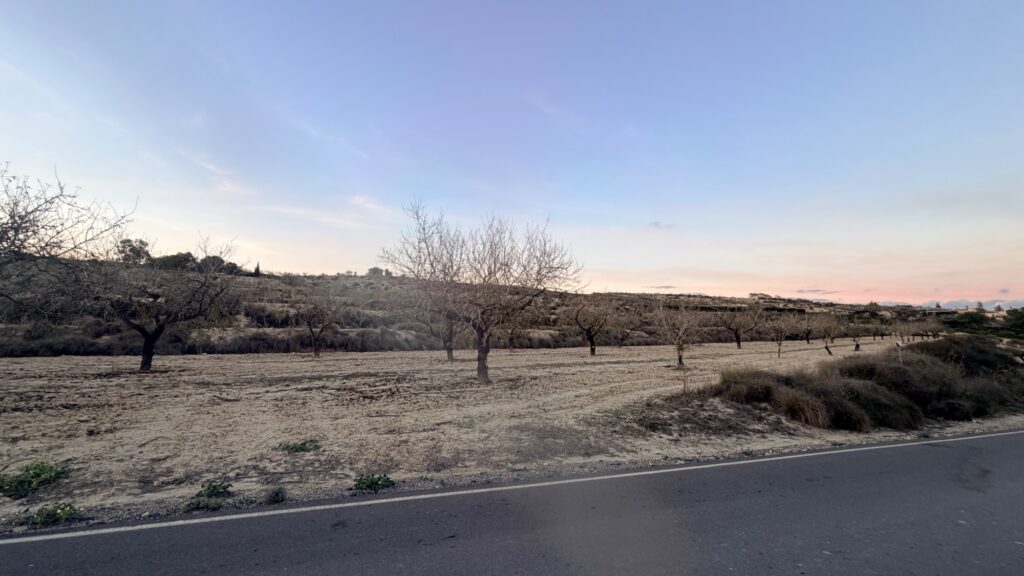 Land w Torremendo - oferta MLSC5773495