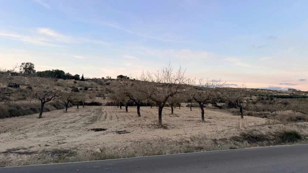 Land w Torremendo - oferta MLSC5773495