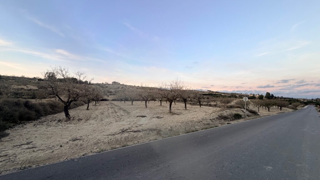 Land w Torremendo - oferta MLSC5773495
