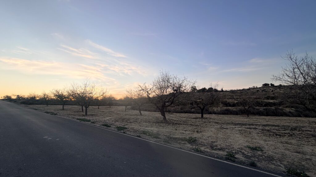 Land w Torremendo - oferta MLSC5773495