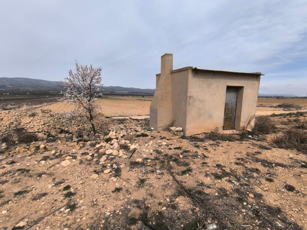 Land w Villena - oferta MLSC1162037