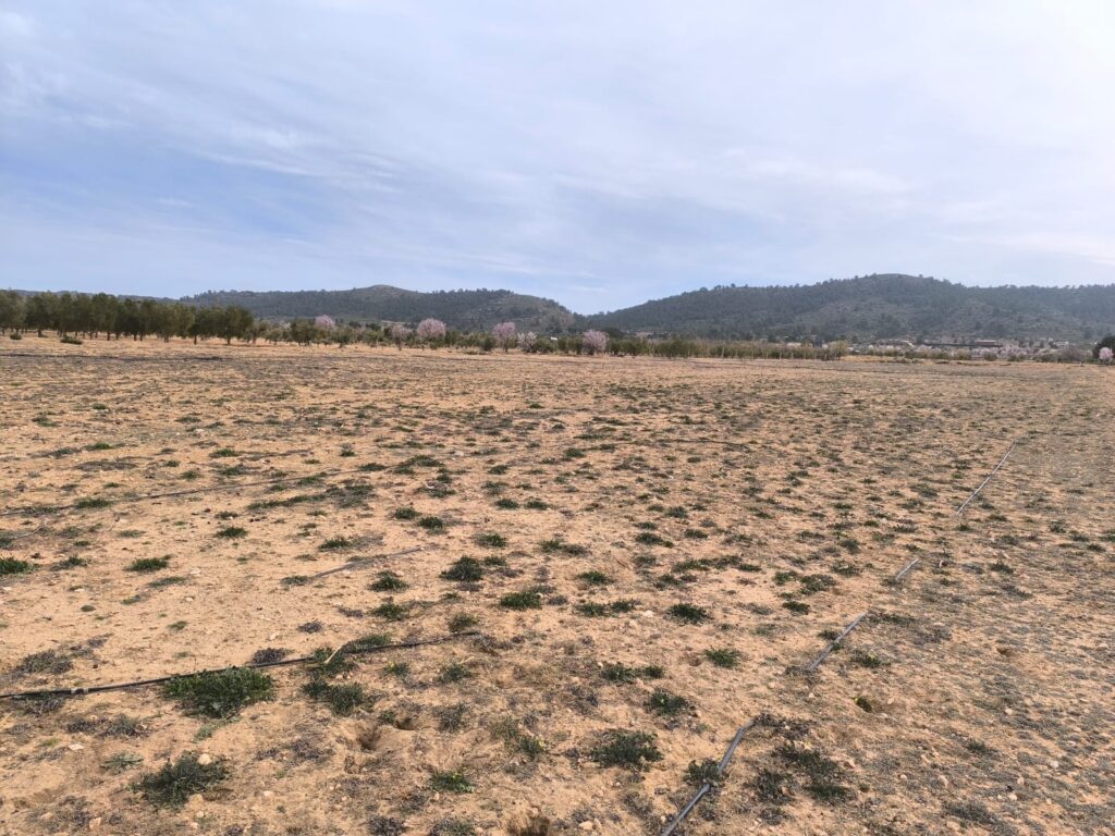 Land w Villena - oferta MLSC1162037