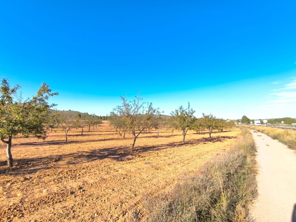 Land w Yecla - oferta MLSC2920834
