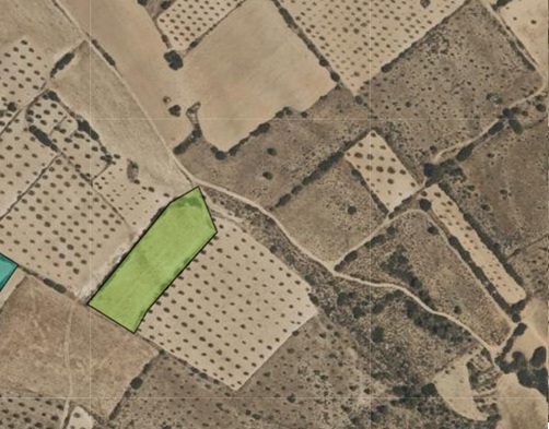 Land w Yecla - oferta MLSC7298746