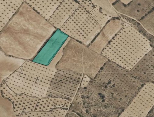 Land w Yecla - oferta MLSC8919874