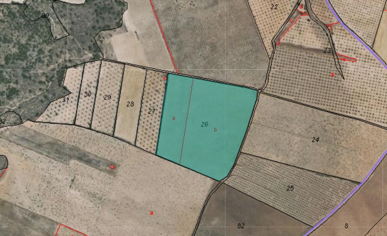 Land w Yecla - oferta MLSC9129064