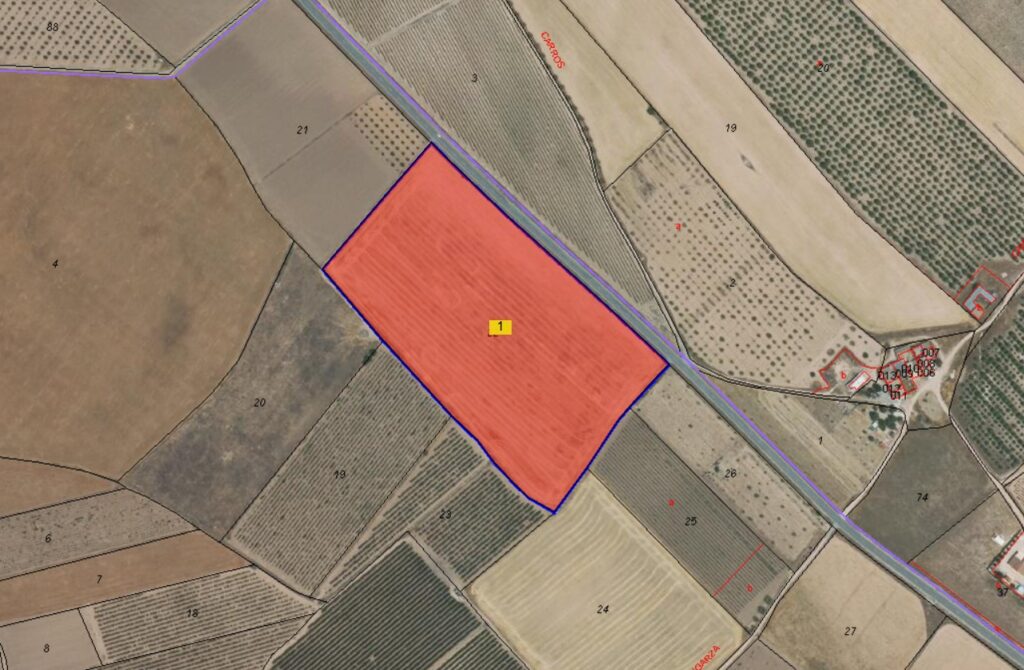 Land w Yecla - oferta MLSC9824855