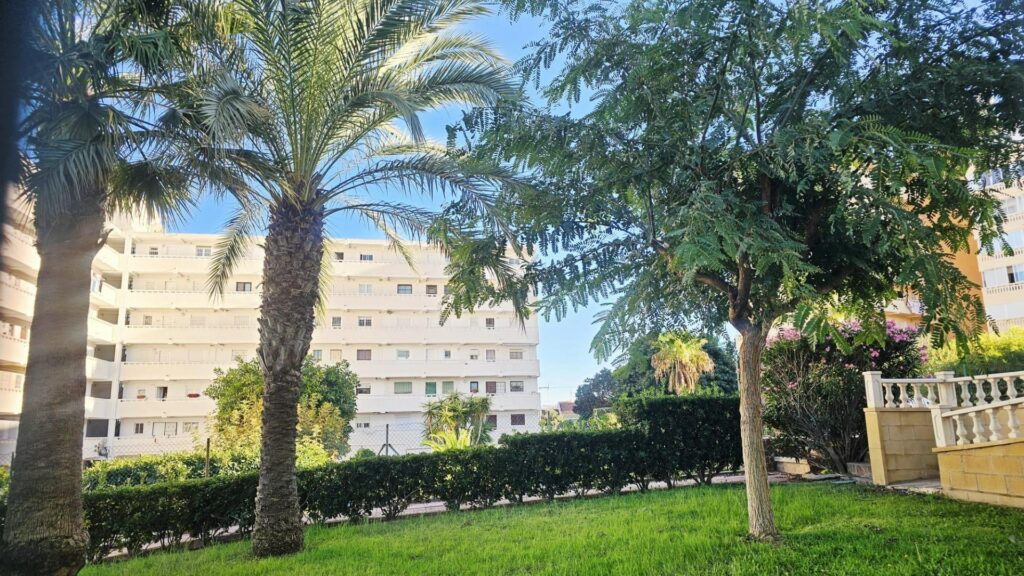 Studio w Torrevieja - oferta MLSC9543056