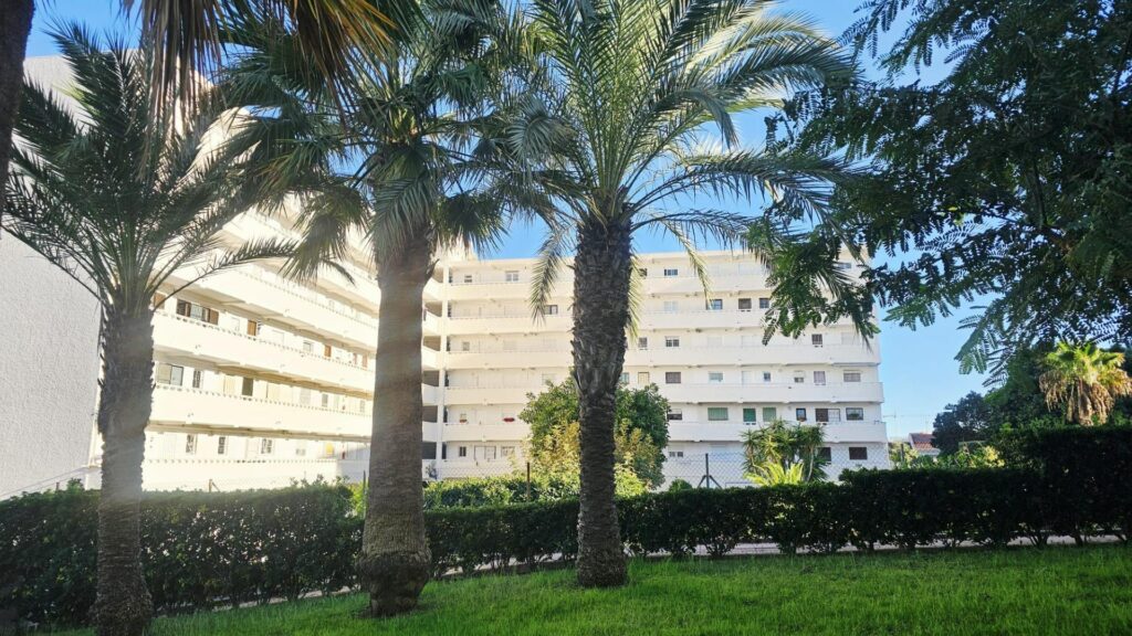 Studio w Torrevieja - oferta MLSC9543056