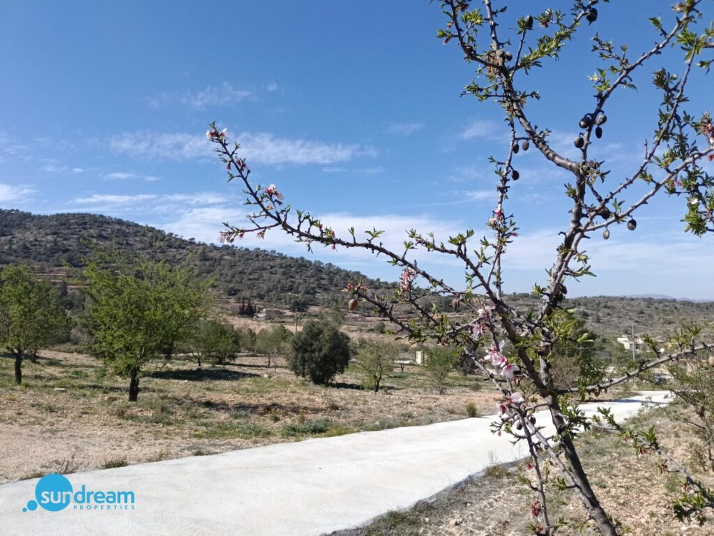 Villa w Abanilla - oferta MLSC3213130